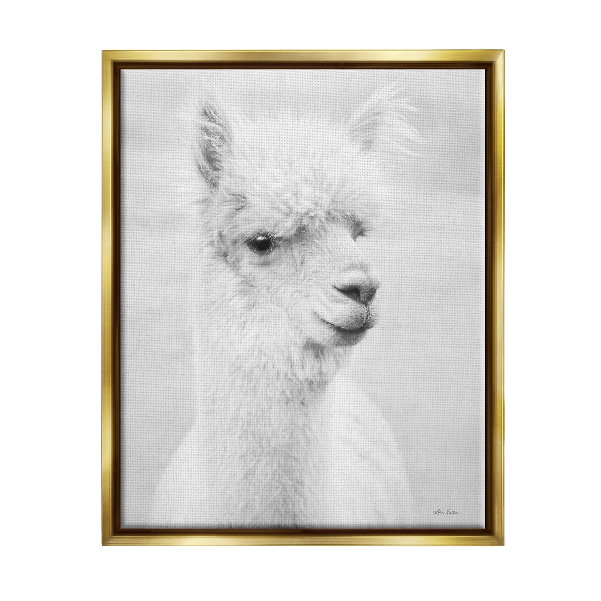 Stupell Monochrome Alpaca Farm Animal Animals & Insects Photography Gold Floater Framed Art Print Wall Art