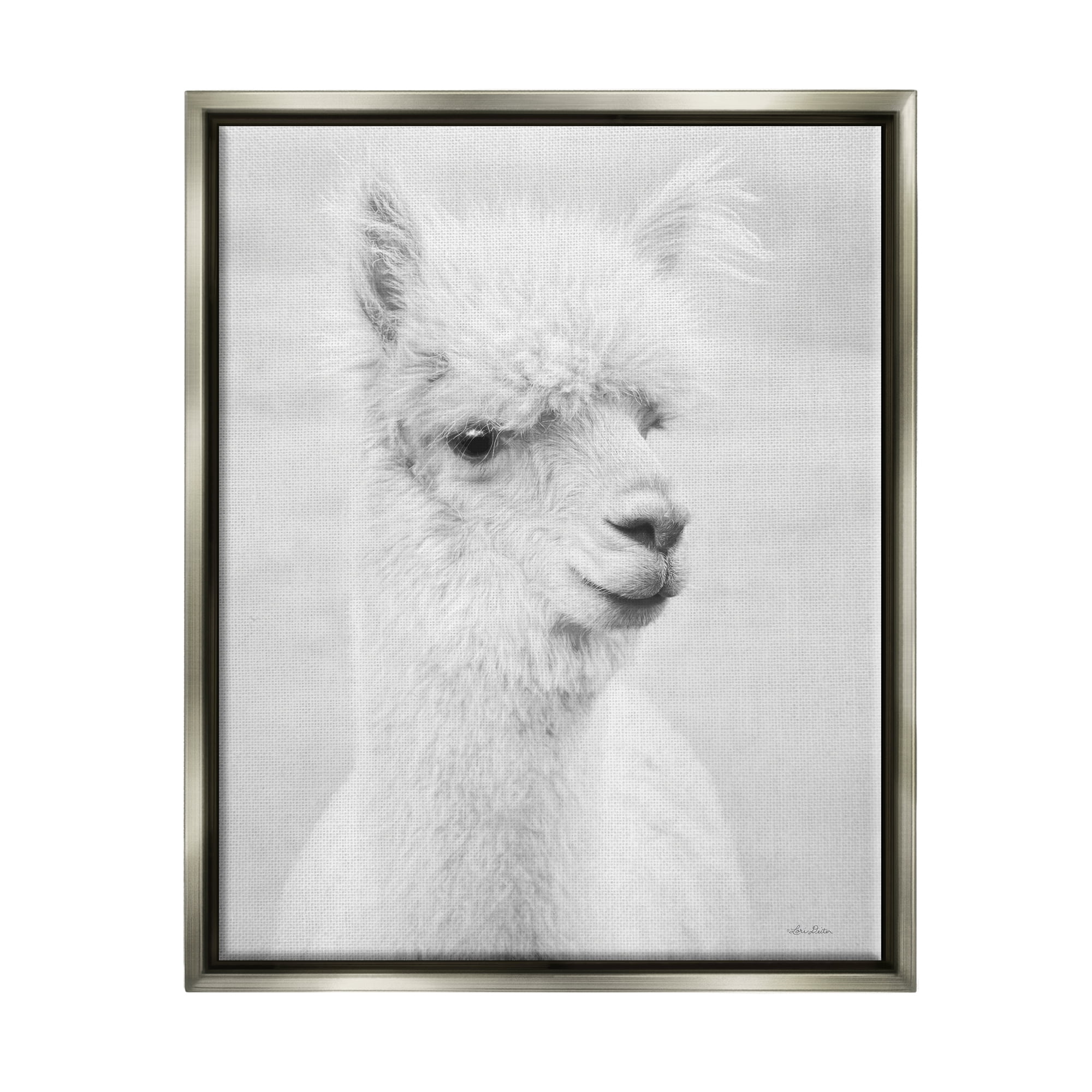 Stupell Monochrome Alpaca Farm Animal Animals & Insects Photography Gray Floater Framed Art Print Wall Art