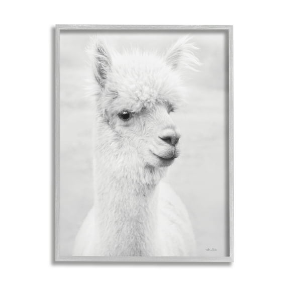 Stupell Monochrome Alpaca Farm Animal Animals & Insects Photography Gray Framed Art Print Wall Art