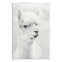 Stupell Monochrome Alpaca Farm Animal Animals & Insects Photography Wall Plaque Unframed Art Print Wall Art