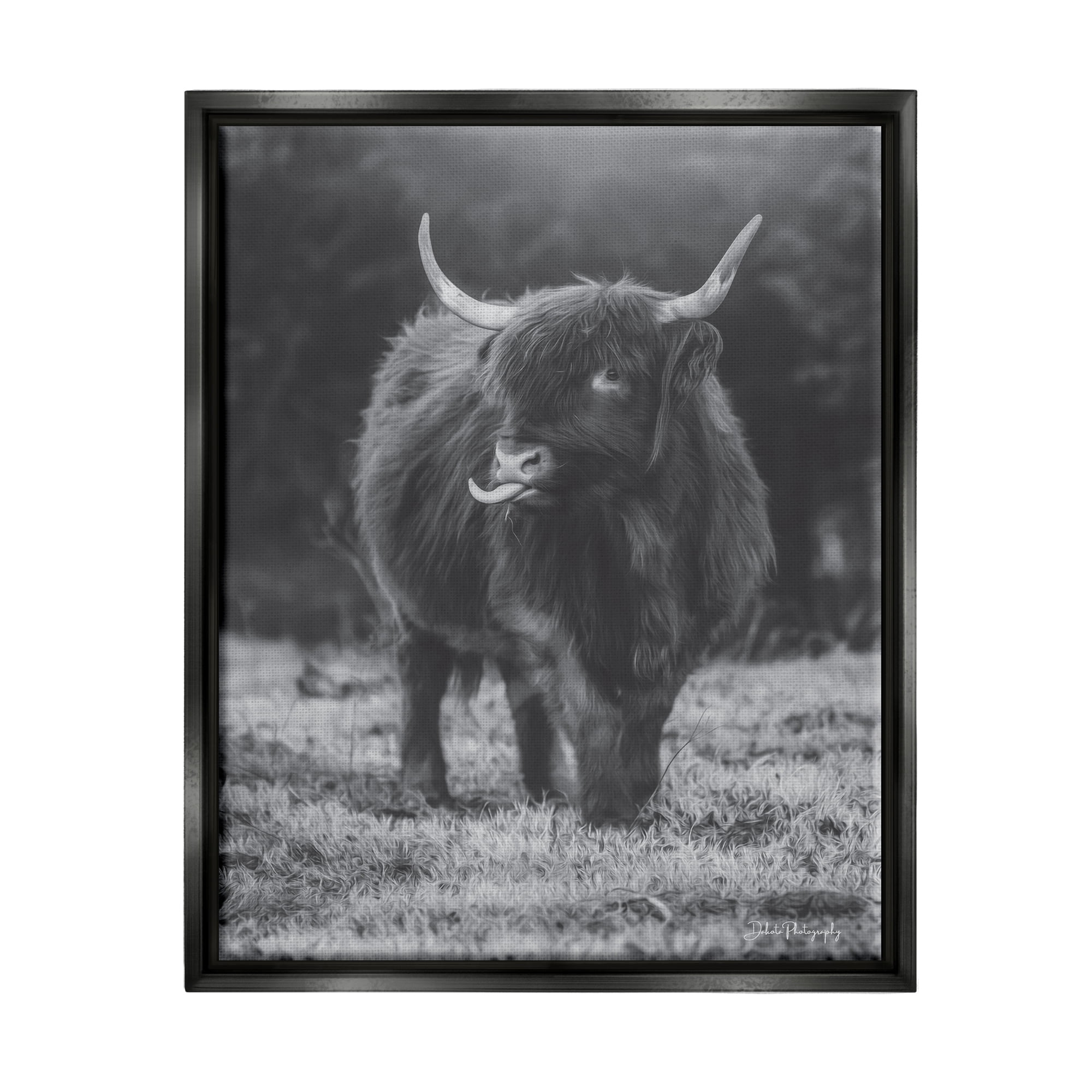 Monochrome Highland Cow Black Floater Framed Canvas Print, 17" x 21"