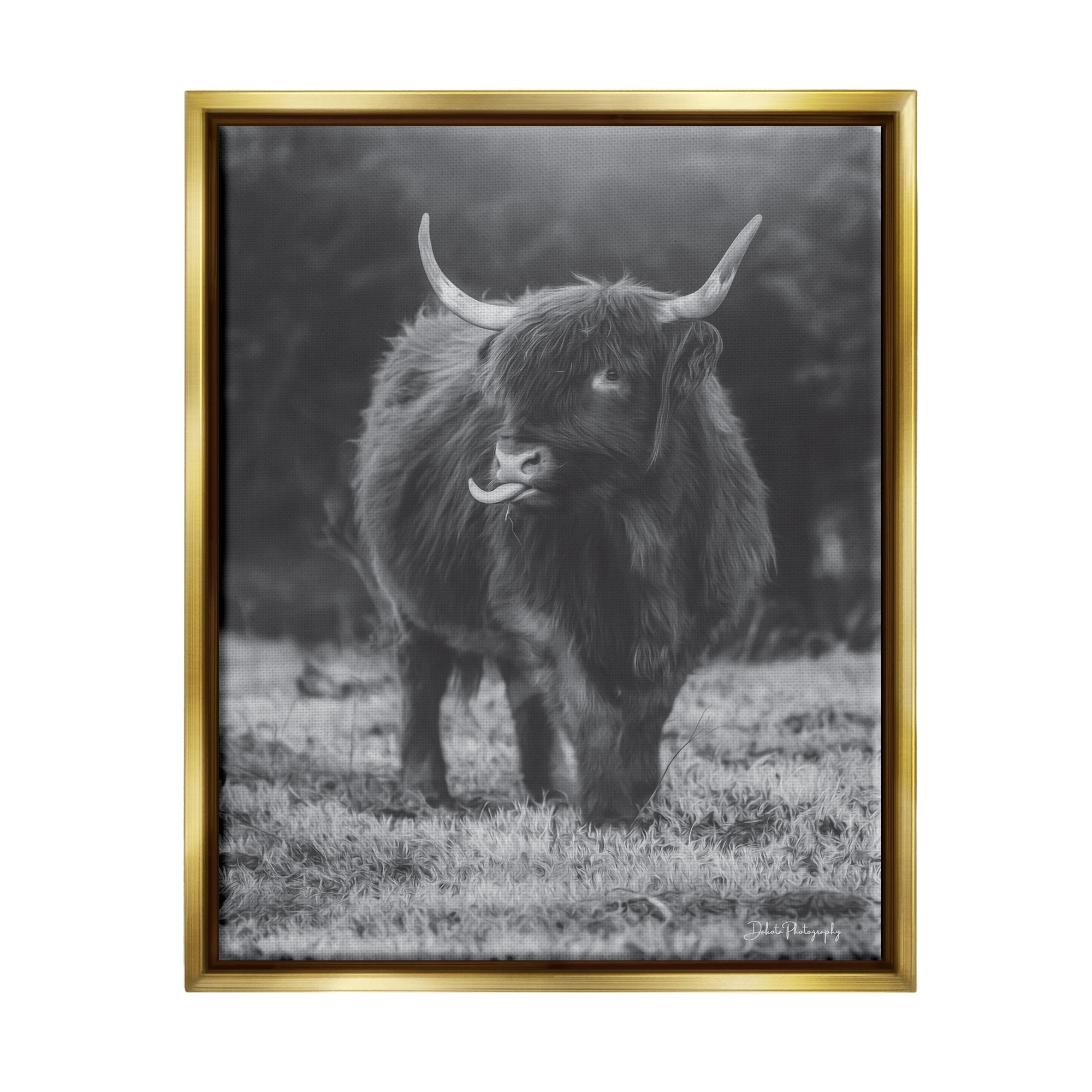 Stupell Monochrome Highland Cow Photography Animals & Insects Photography Gold Floater Framed Art Print Wall Art