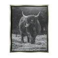 thumbnail image 1 of Stupell Monochrome Highland Cow Photography Animals & Insects Photography Gray Floater Framed Art Print Wall Art, 1 of 6