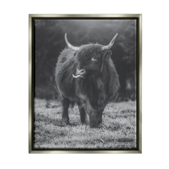 Stupell Monochrome Highland Cow Photography Animals & Insects Photography Gray Floater Framed Art Print Wall Art