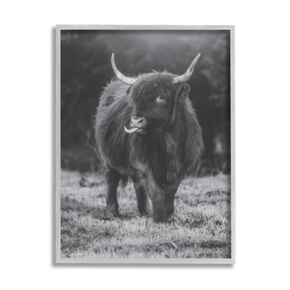 Stupell Monochrome Highland Cow Photography Animals & Insects Photography Gray Framed Art Print Wall Art