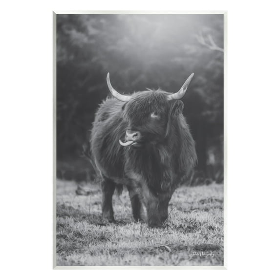 Stupell Monochrome Highland Cow Photography Animals & Insects Photography Wall Plaque Unframed Art Print Wall Art