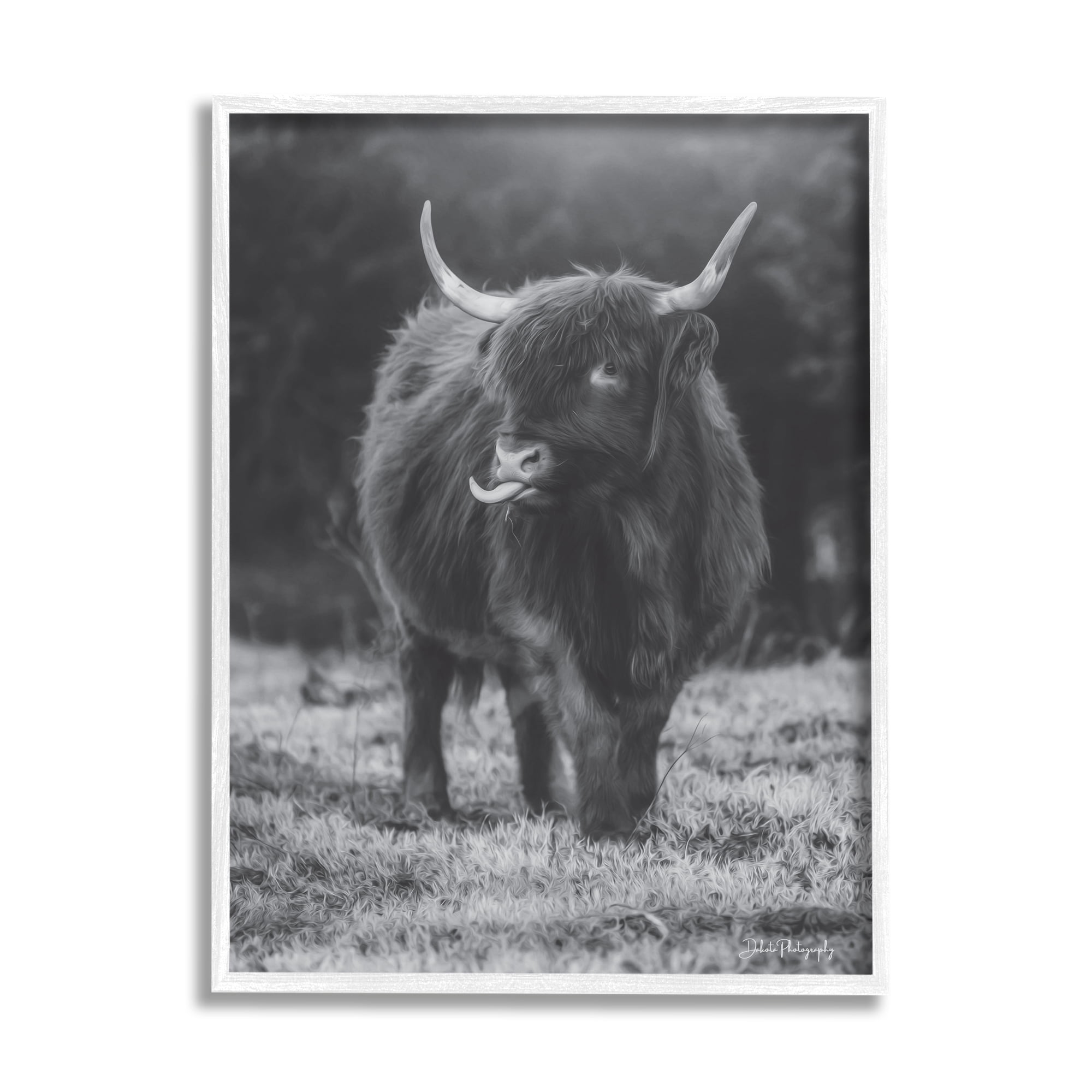 Stupell Monochrome Highland Cow Photography Animals & Insects Photography White Framed Art Print Wall Art