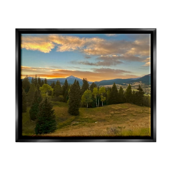 Stupell Montana Sunset Forest Clearing Landscape Photography Black Floater Framed Art Print Wall Art