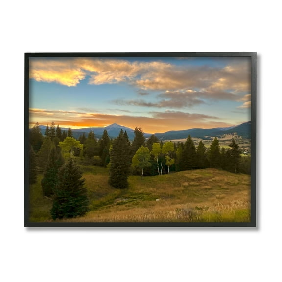 Stupell Montana Sunset Forest Clearing Landscape Photography Black Framed Art Print Wall Art