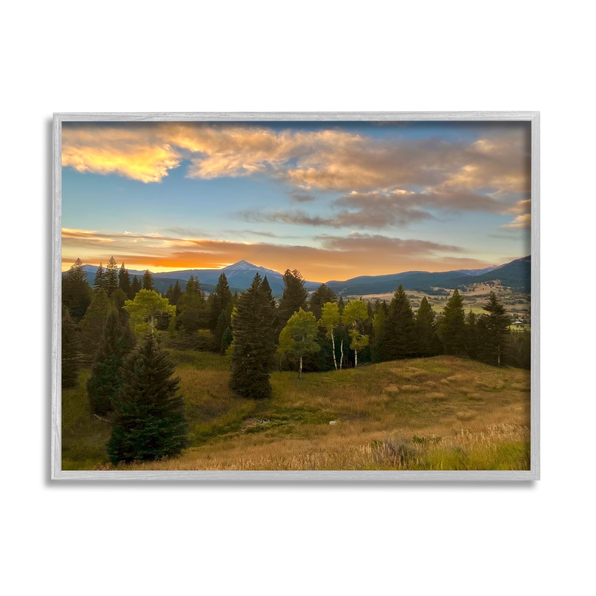 Stupell Montana Sunset Forest Clearing Landscape Photography Gray Framed Art Print Wall Art