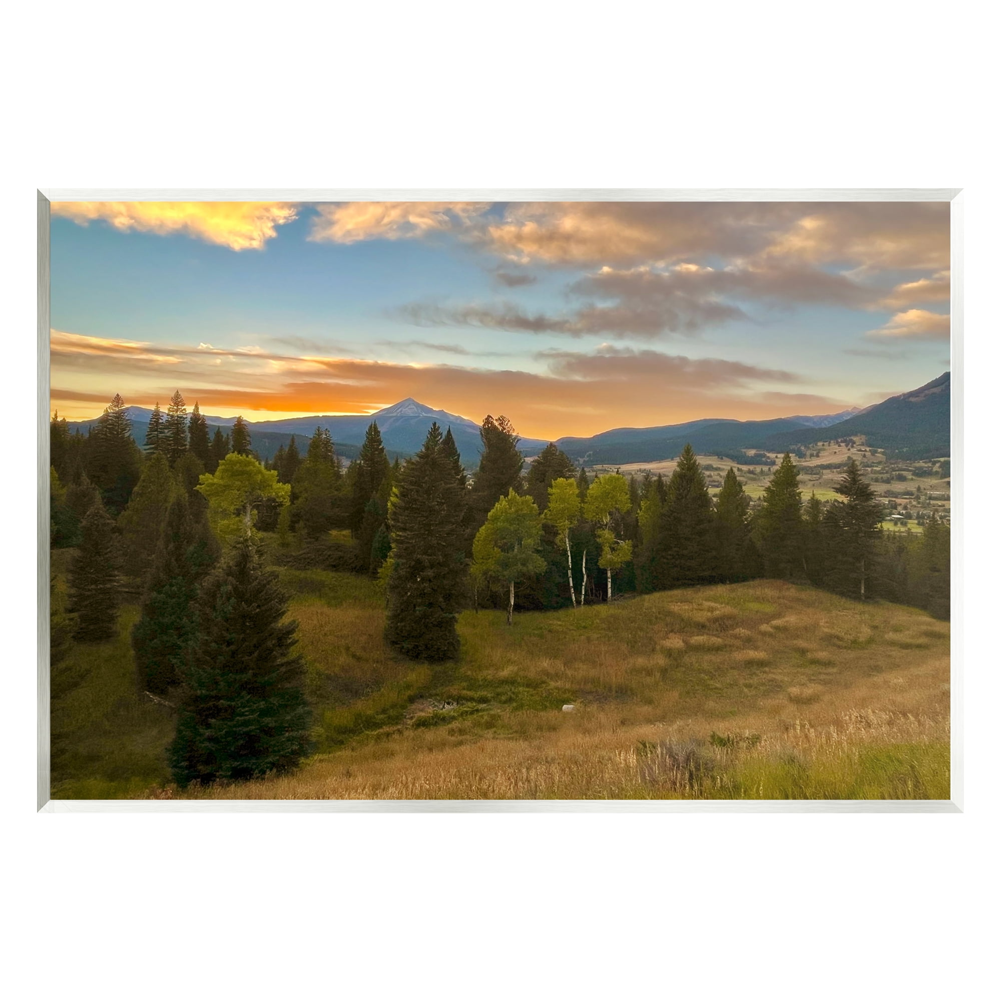 Stupell Montana Sunset Forest Clearing Landscape Photography Wall Plaque Unframed Art Print Wall Art
