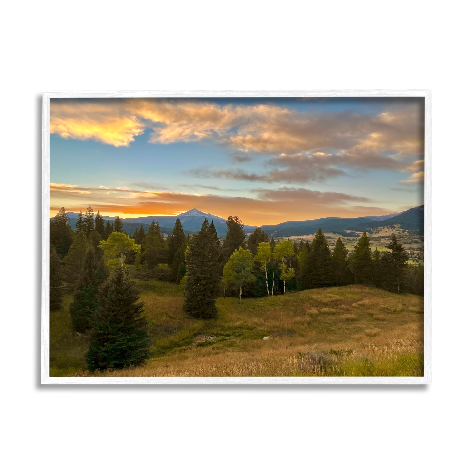 Stupell Montana Sunset Forest Clearing Landscape Photography White Framed Art Print Wall Art