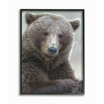 Stupell Most Interesting Bear Framed Giclee Wall Art 11 x 14