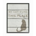 thumbnail image 1 of Stupell My Cat Owns This Place Framed Giclee Texture Art 11 x 14, 1 of 3