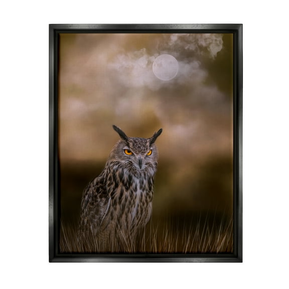 Stupell Nighttime Owl Moonlit Cloudy Sky Animals & Insects Photography Black Floater Framed Art Print Wall Art