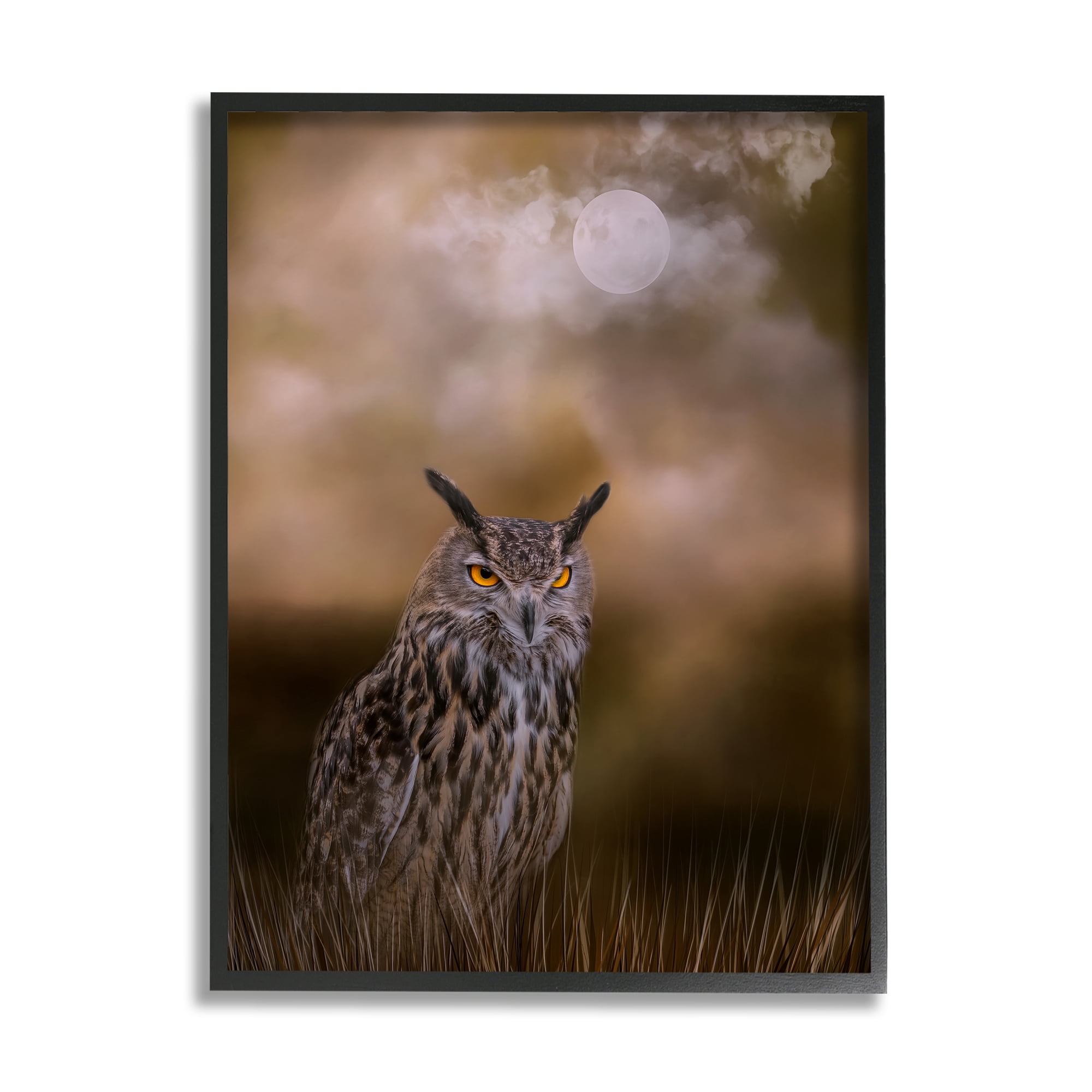 Stupell Nighttime Owl Moonlit Cloudy Sky Animals & Insects Photography Black Framed Art Print Wall Art