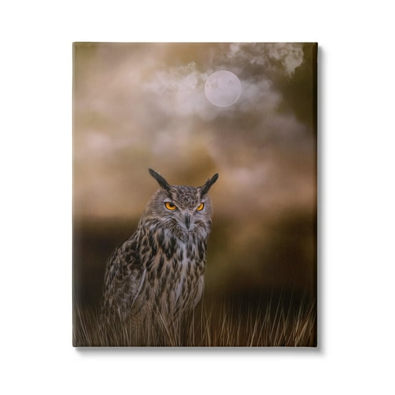 Stupell Nighttime Owl Moonlit Cloudy Sky Animals & Insects Photography Gallery Wrapped Canvas Print Wall Art