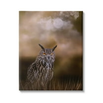 Stupell Nighttime Owl Moonlit Cloudy Sky Animals & Insects Photography Gallery Wrapped Canvas Print Wall Art