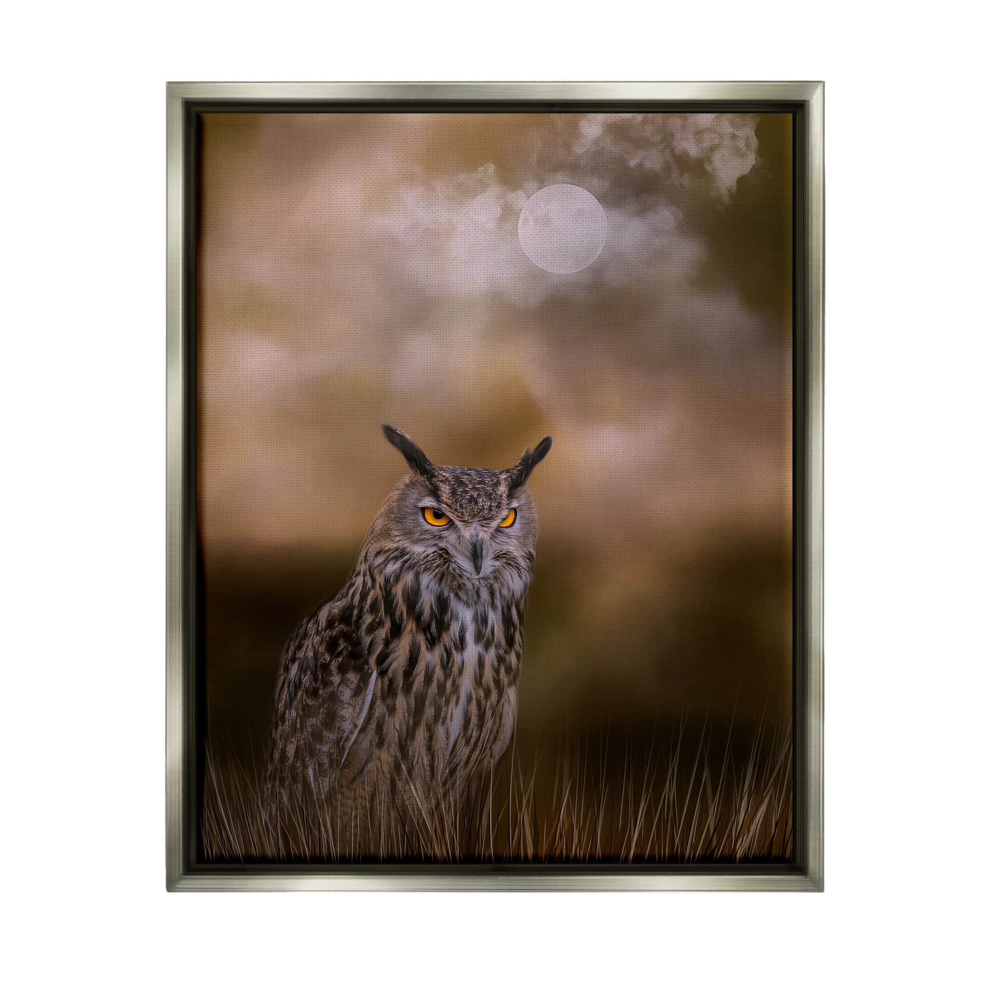 Stupell Nighttime Owl Moonlit Cloudy Sky Animals & Insects Photography Gray Floater Framed Art Print Wall Art