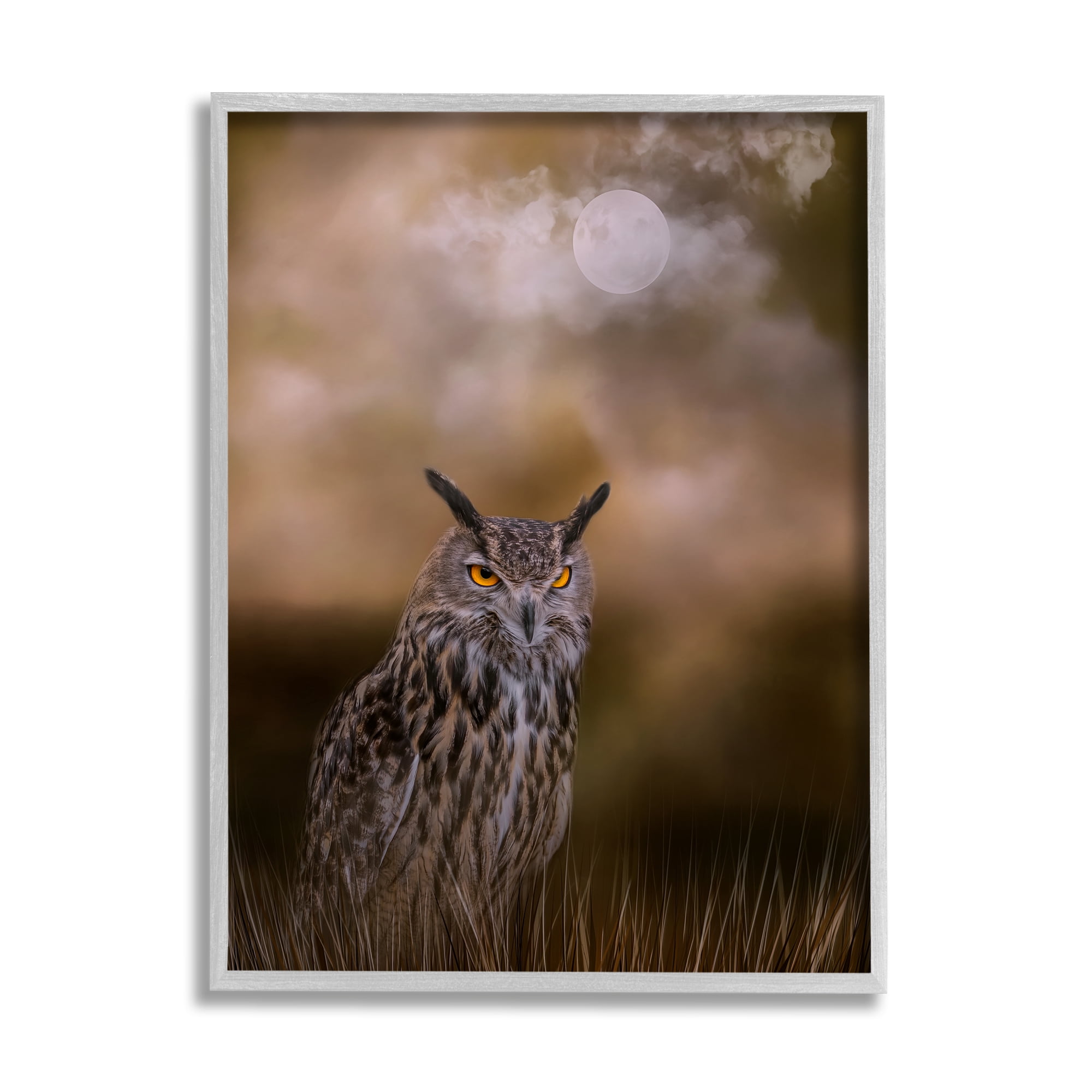 Stupell Nighttime Owl Moonlit Cloudy Sky Animals & Insects Photography Gray Framed Art Print Wall Art
