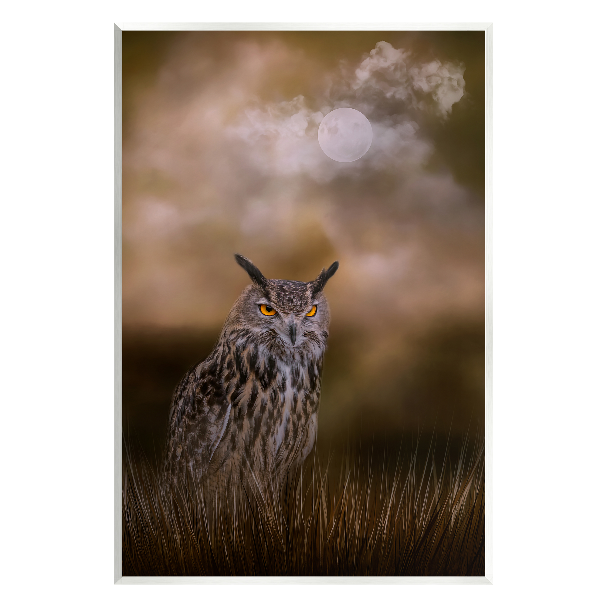Stupell Nighttime Owl Moonlit Cloudy Sky Animals & Insects Photography Wall Plaque Unframed Art Print Wall Art