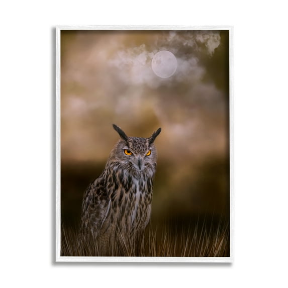 Stupell Nighttime Owl Moonlit Cloudy Sky Animals & Insects Photography White Framed Art Print Wall Art
