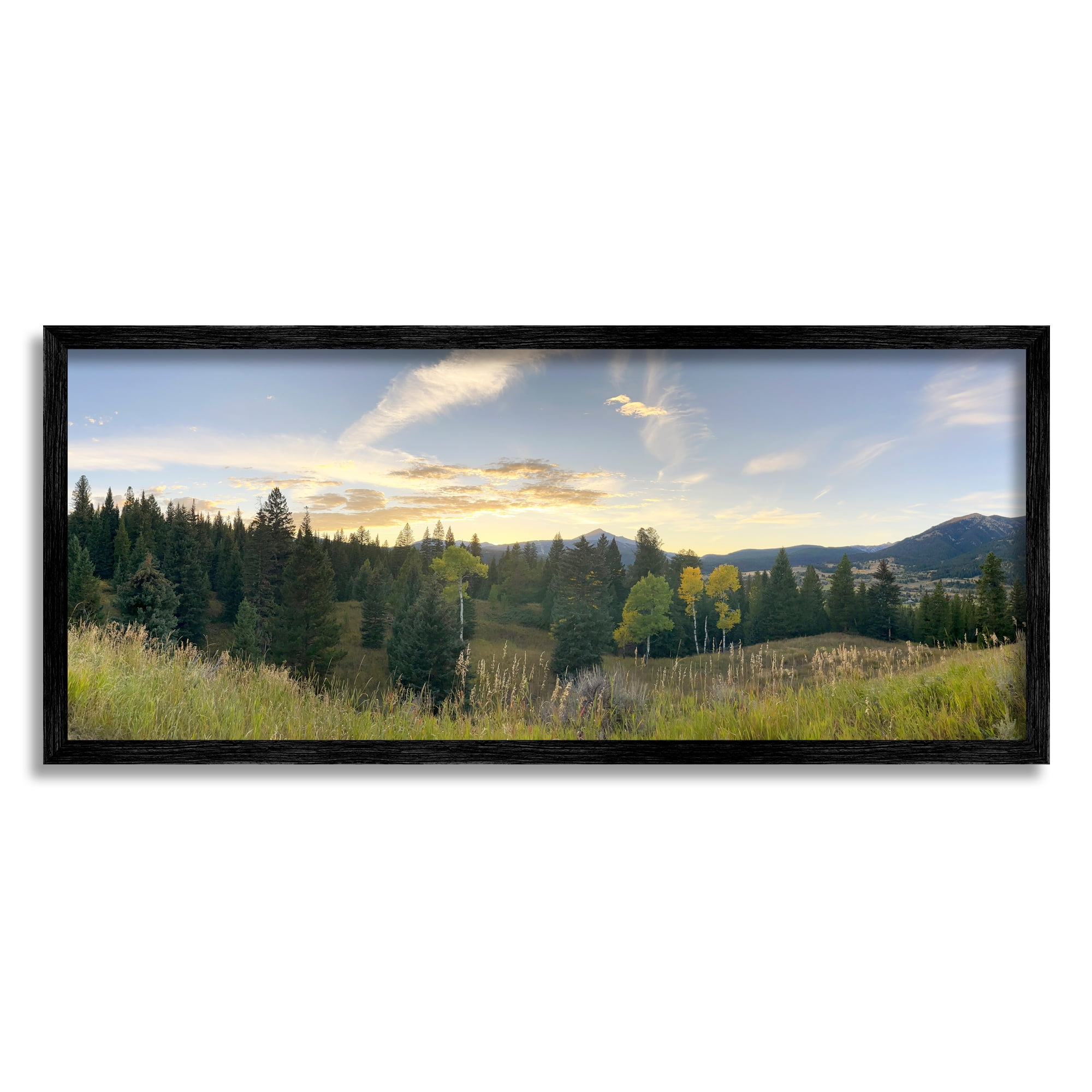 Stupell Panoramic Montana Nature Landscape Landscape Photography Black Framed Art Print Wall Art