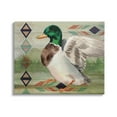 thumbnail image 1 of Stupell Patterned Rustic Mallard Duck Animals & Insects Painting Gallery Wrapped Canvas Print Wall Art, 1 of 5