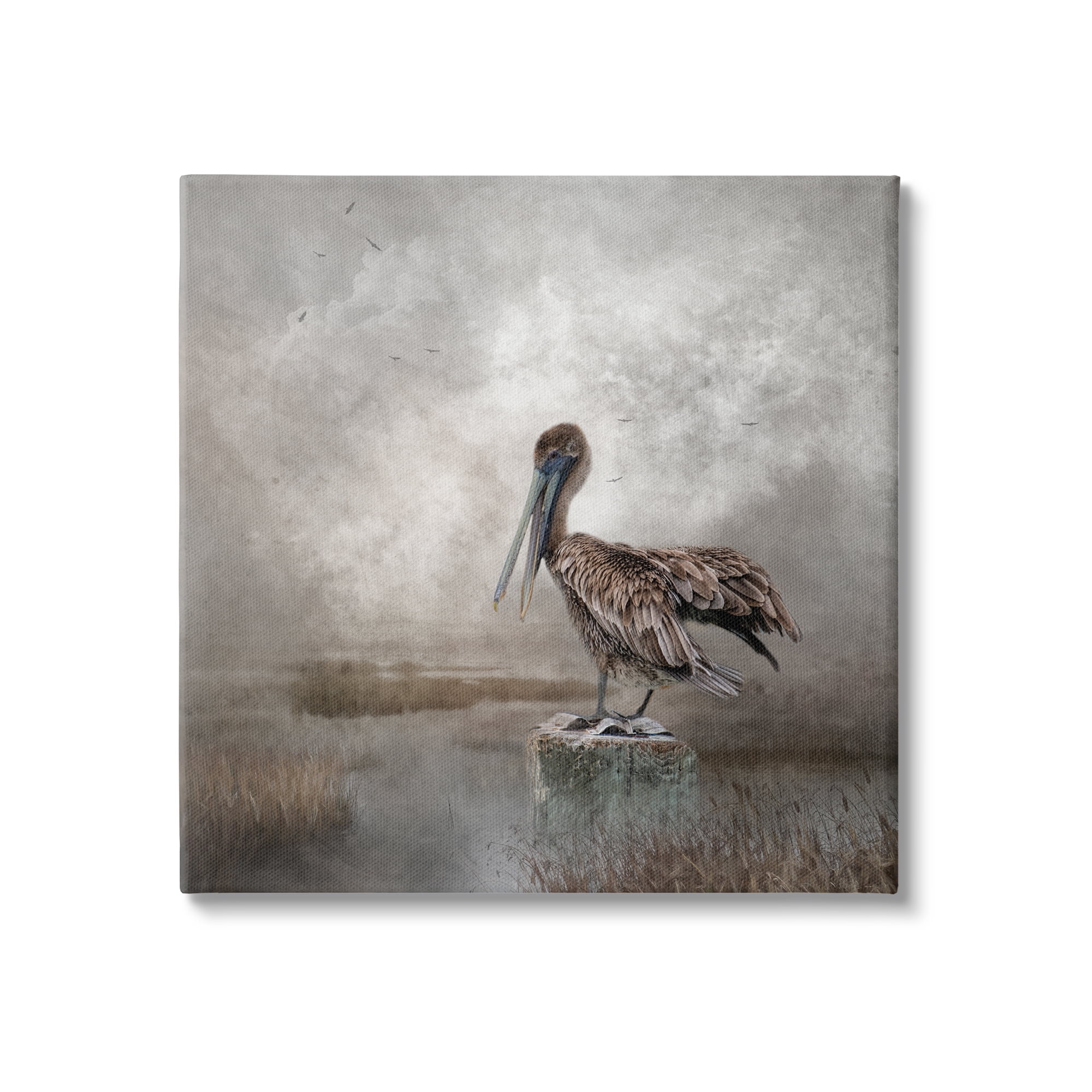 Stupell Pelican Bird Waterside Marsh Animals & Insects Photography Gallery Wrapped Canvas Print Wall Art