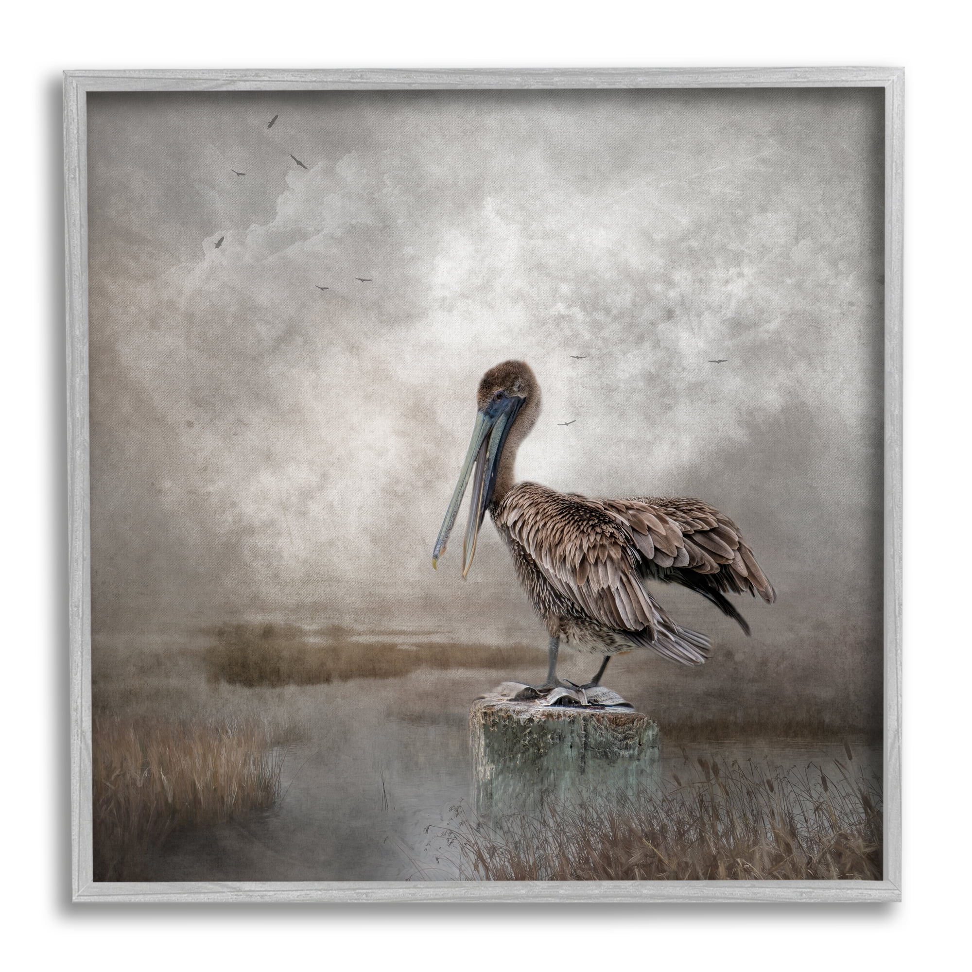 Gray Framed Pelican Bird Canvas Print Wall Art