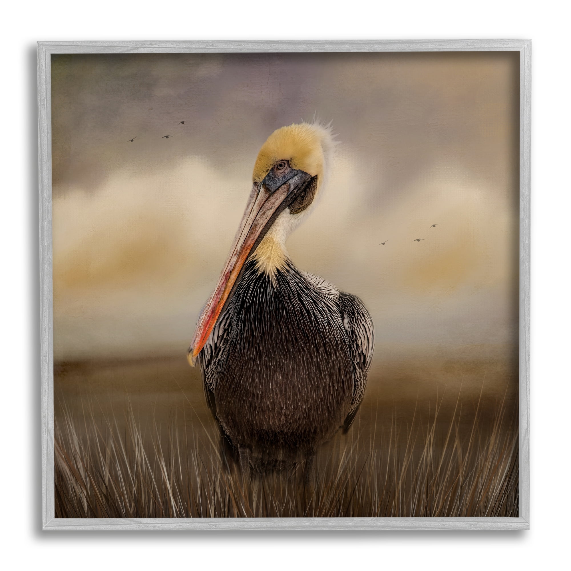 Stupell Pelican Cloudy Nature Sky Wildlife Animals & Insects Photography Gray Framed Art Print Wall Art
