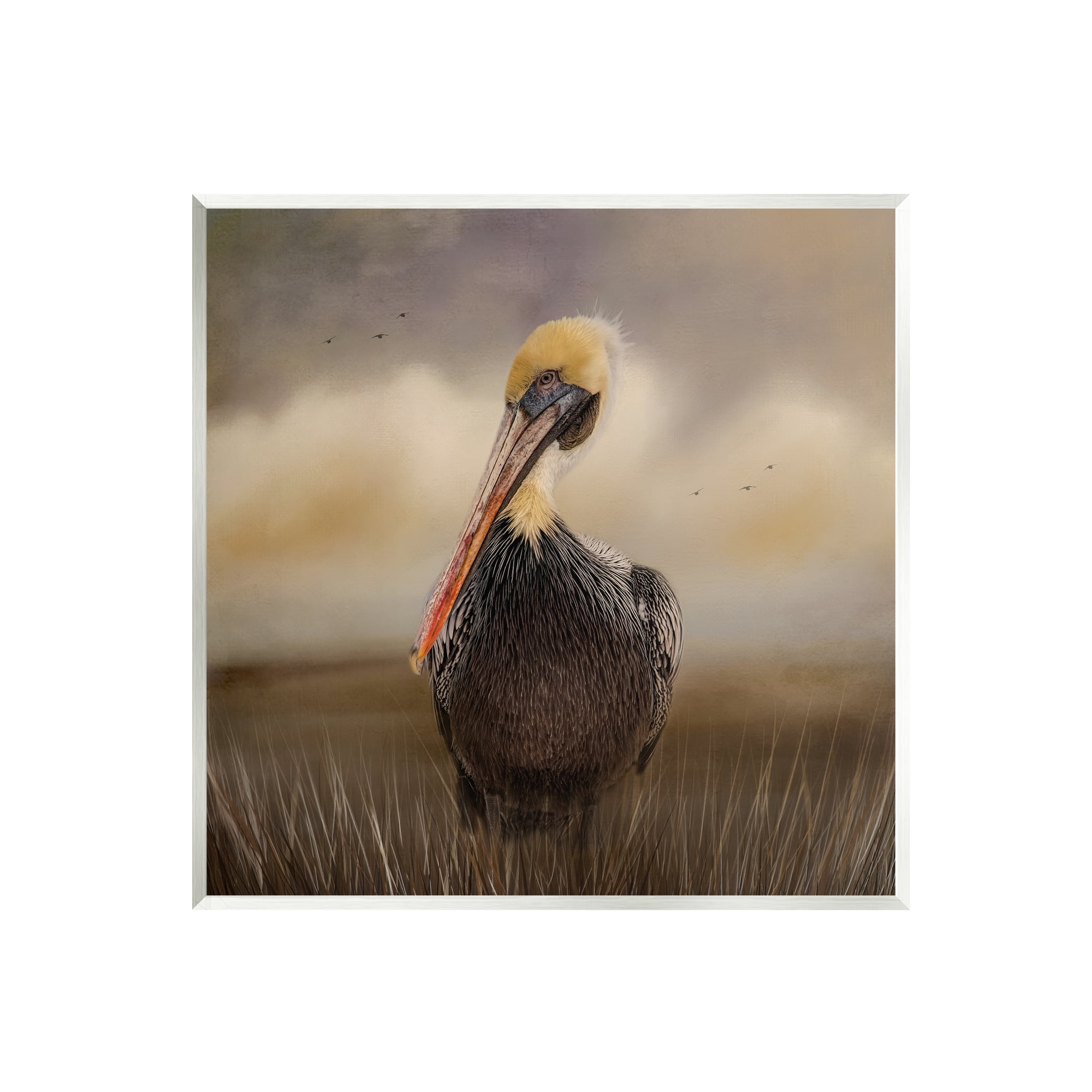 Pelican Wildlife Art Print on MDF Wood Plaque
