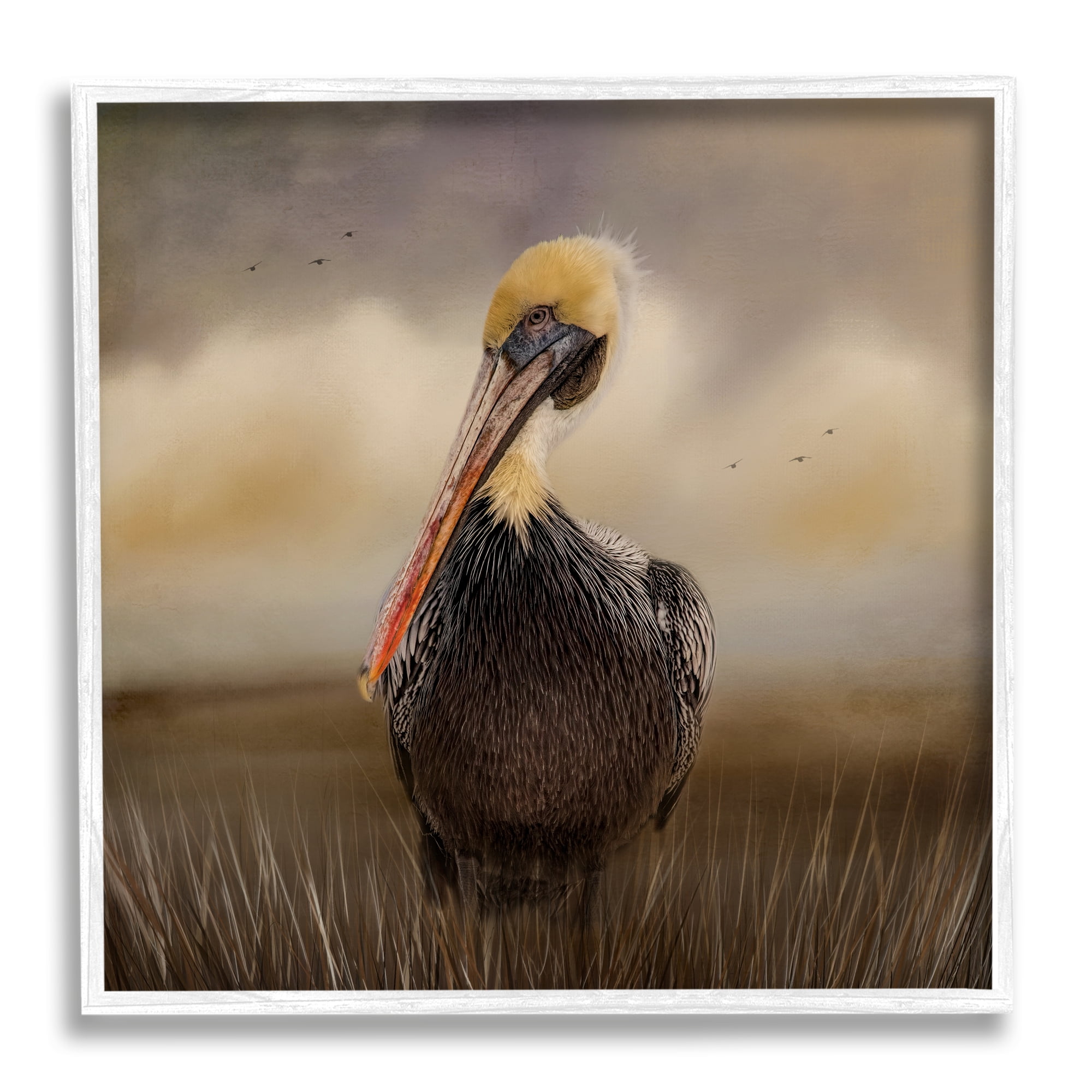 Stupell Pelican Cloudy Nature Sky Wildlife Animals & Insects Photography White Framed Art Print Wall Art