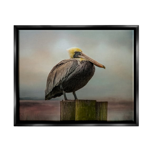 Stupell Pelican Perched Wildlife Nature Animals & Insects Photography Black Floater Framed Art Print Wall Art