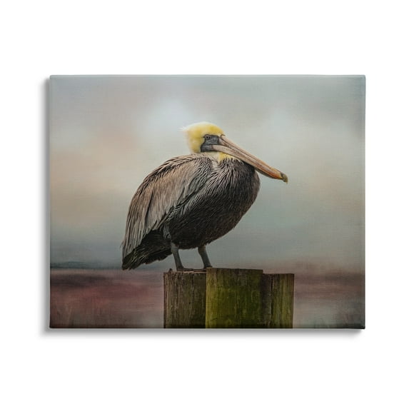 Stupell Pelican Perched Wildlife Nature Animals & Insects Photography Gallery Wrapped Canvas Print Wall Art