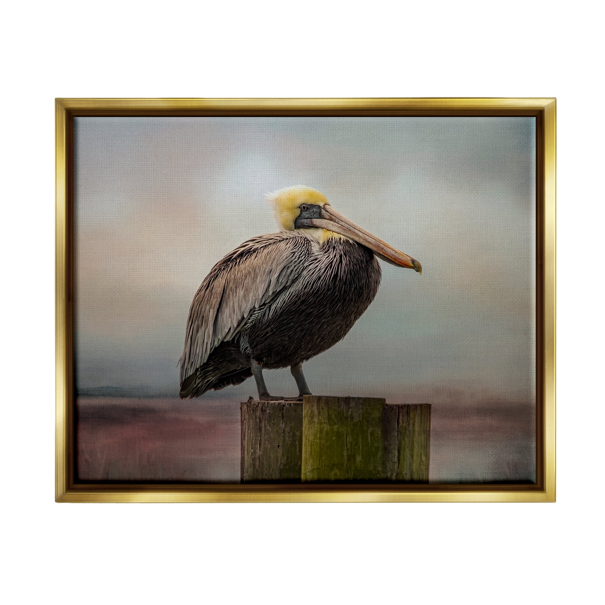 Stupell Pelican Perched Wildlife Nature Animals & Insects Photography Gold Floater Framed Art Print Wall Art