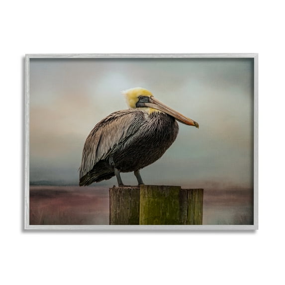 Stupell Pelican Perched Wildlife Nature Animals & Insects Photography Gray Framed Art Print Wall Art