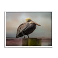 thumbnail image 1 of Stupell Pelican Perched Wildlife Nature Animals & Insects Photography White Framed Art Print Wall Art, 1 of 7