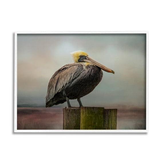 Stupell Pelican Perched Wildlife Nature Animals & Insects Photography White Framed Art Print Wall Art