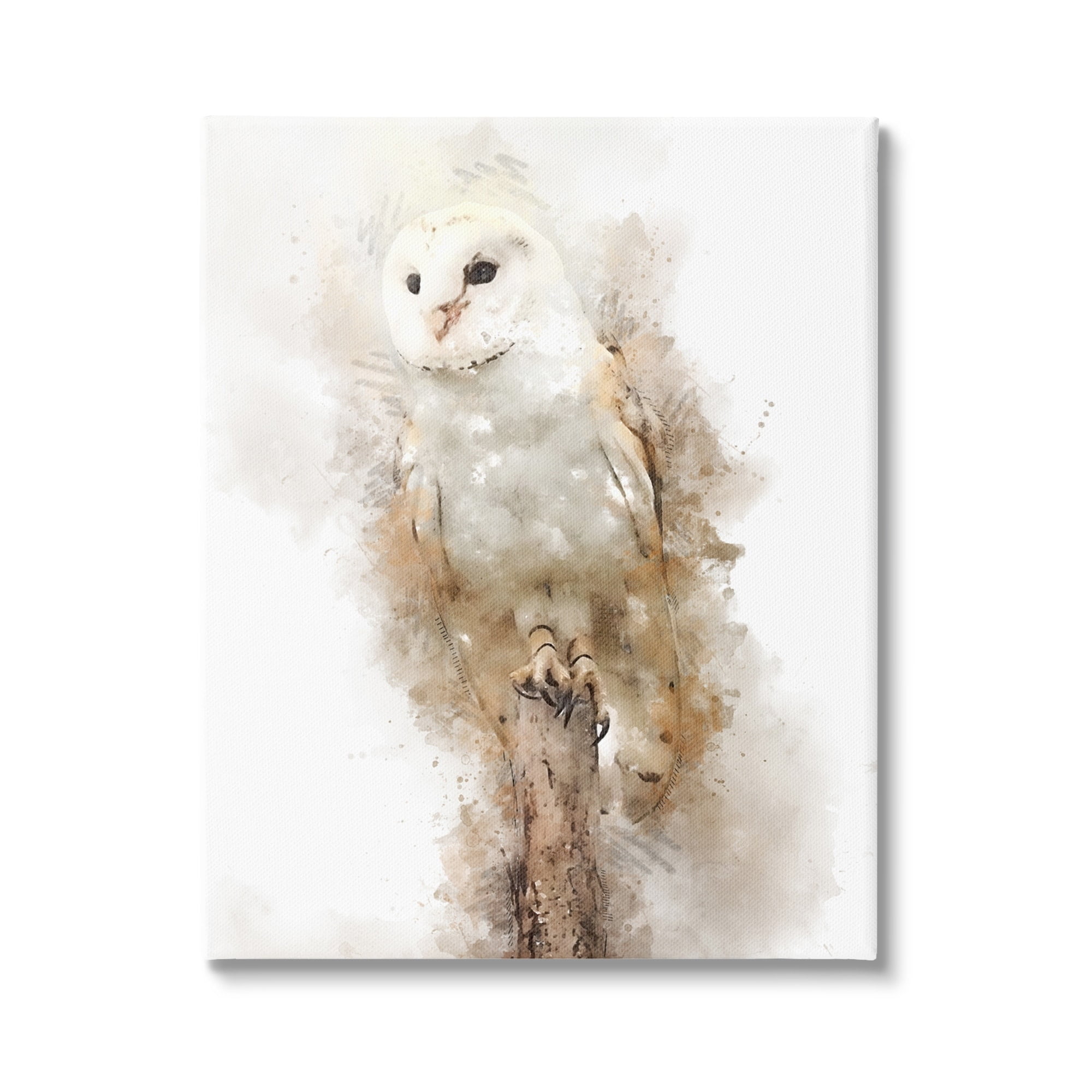 Stupell Perched Barn Owl Wildlife Animals & Insects Painting Gallery Wrapped Canvas Print Wall Art