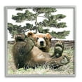 thumbnail image 1 of Stupell Playing Bear Cub Forest Trees Animals & Insects Painting Gray Framed Art Print Wall Art, 1 of 7