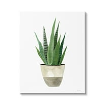 Stupell Potted Aloe Plant Casual Botanical & Floral Painting Gallery Wrapped Canvas Print Wall Art