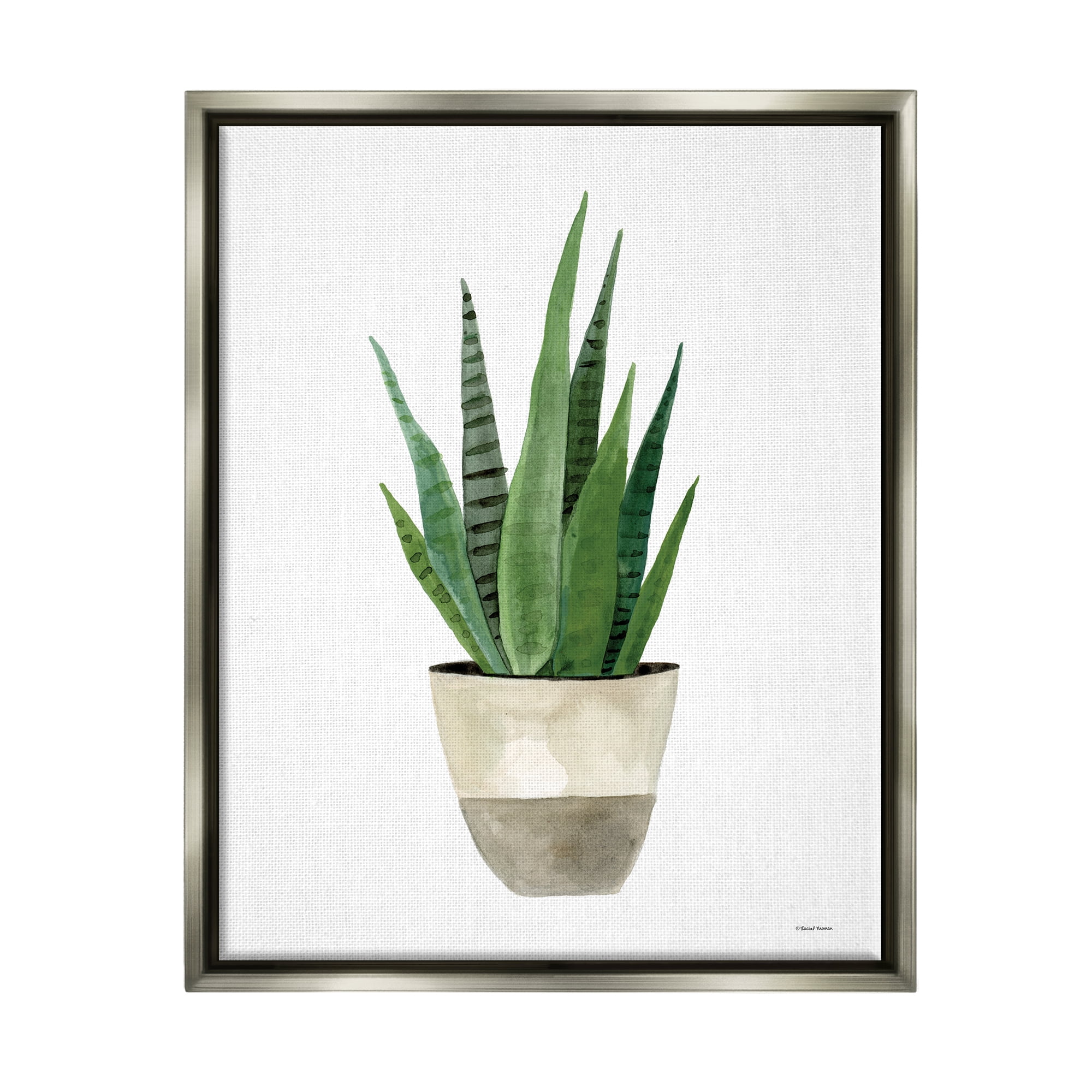 Stupell Potted Aloe Plant Casual Botanical & Floral Painting Gray Floater Framed Art Print Wall Art