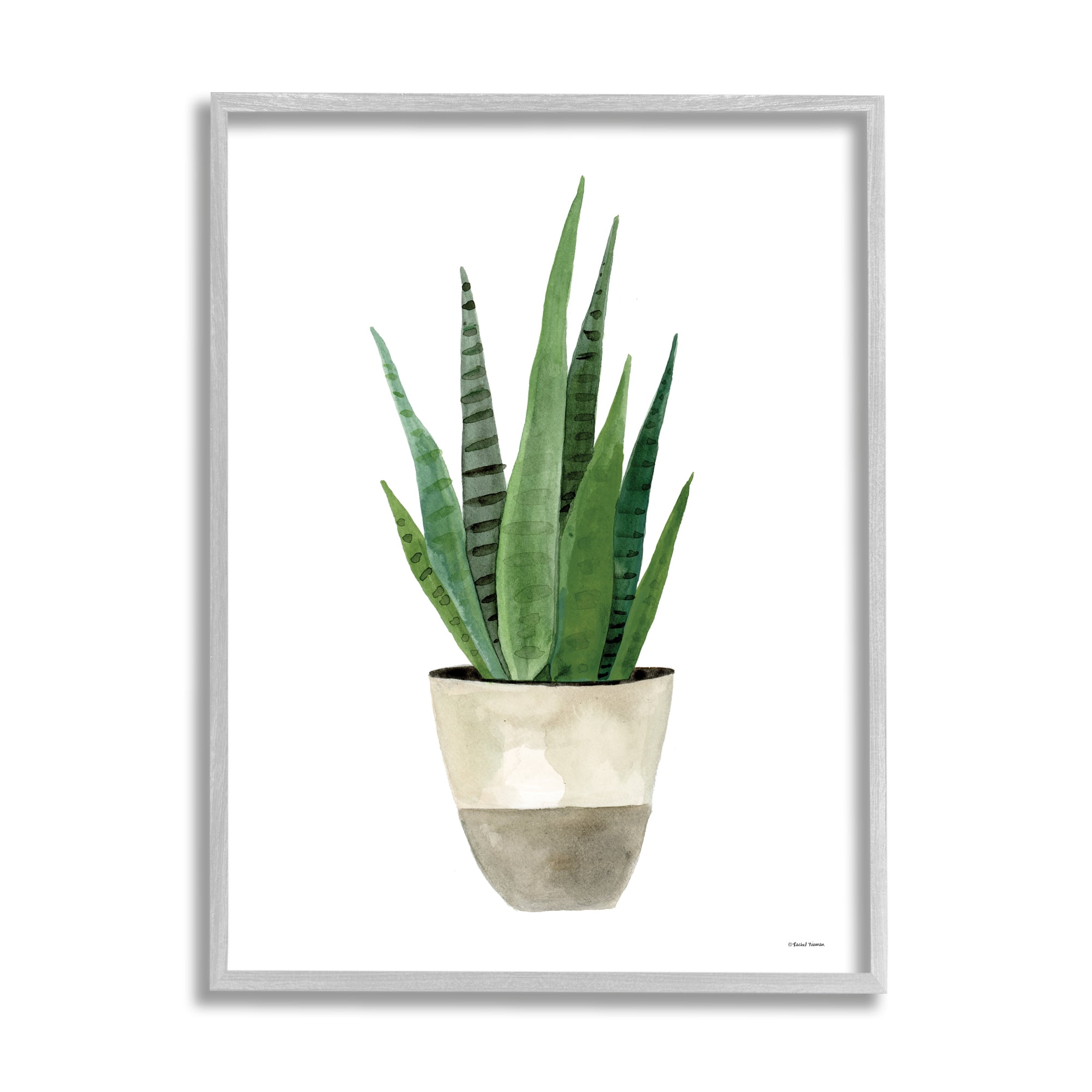 Stupell Potted Aloe Plant Casual Botanical & Floral Painting Gray Framed Art Print Wall Art
