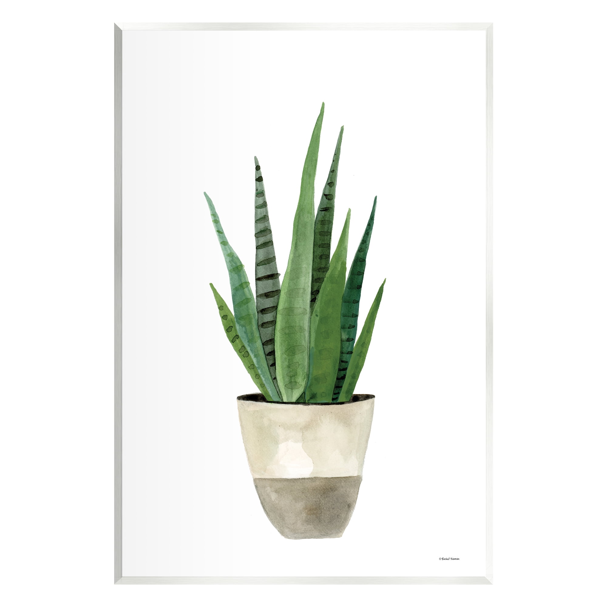 Stupell Potted Aloe Plant Casual Botanical & Floral Painting Wall Plaque Unframed Art Print Wall Art