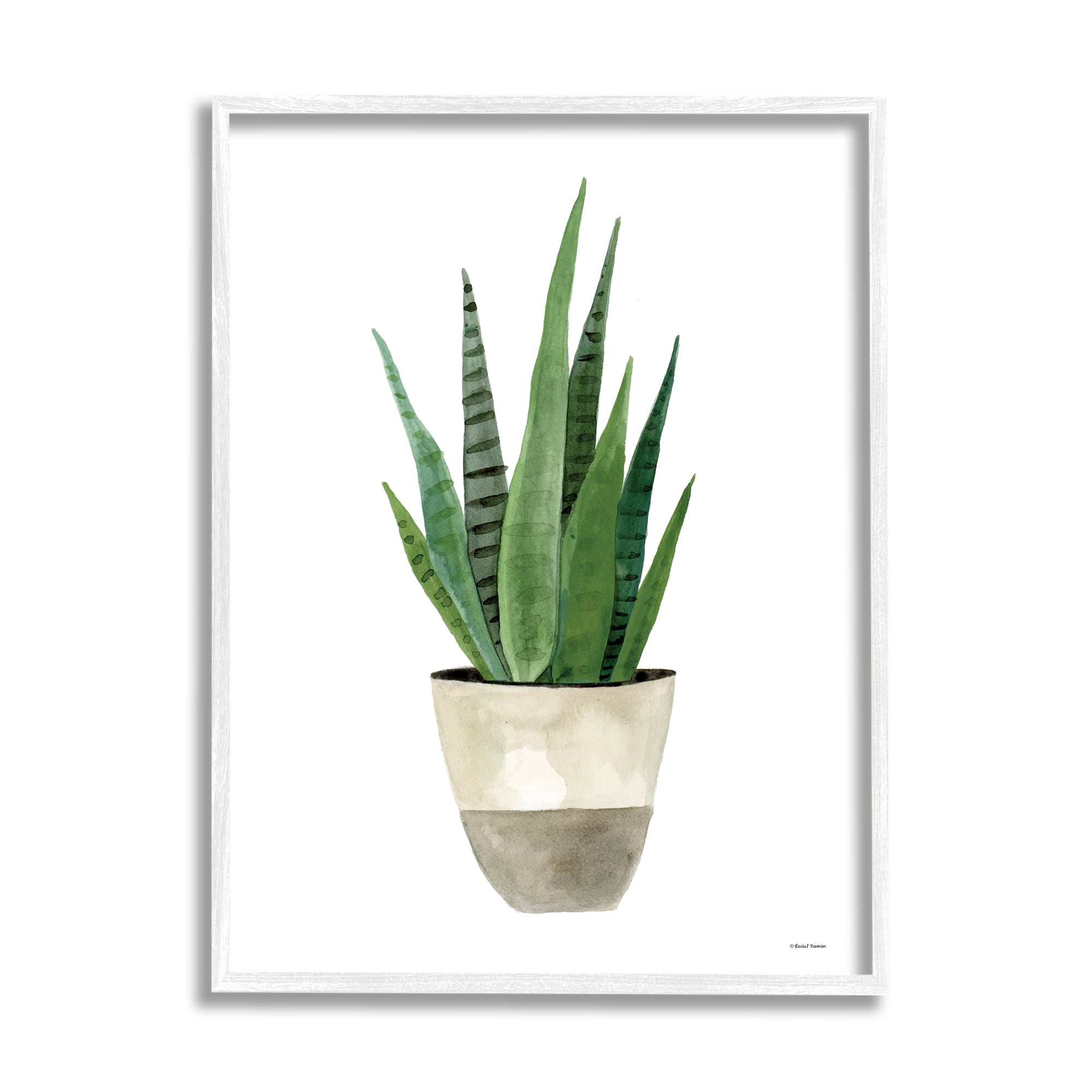 Stupell Potted Aloe Plant Casual Botanical & Floral Painting White Framed Art Print Wall Art