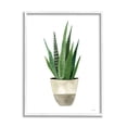 thumbnail image 1 of Stupell Potted Aloe Plant Casual Botanical & Floral Painting White Framed Art Print Wall Art, 1 of 7