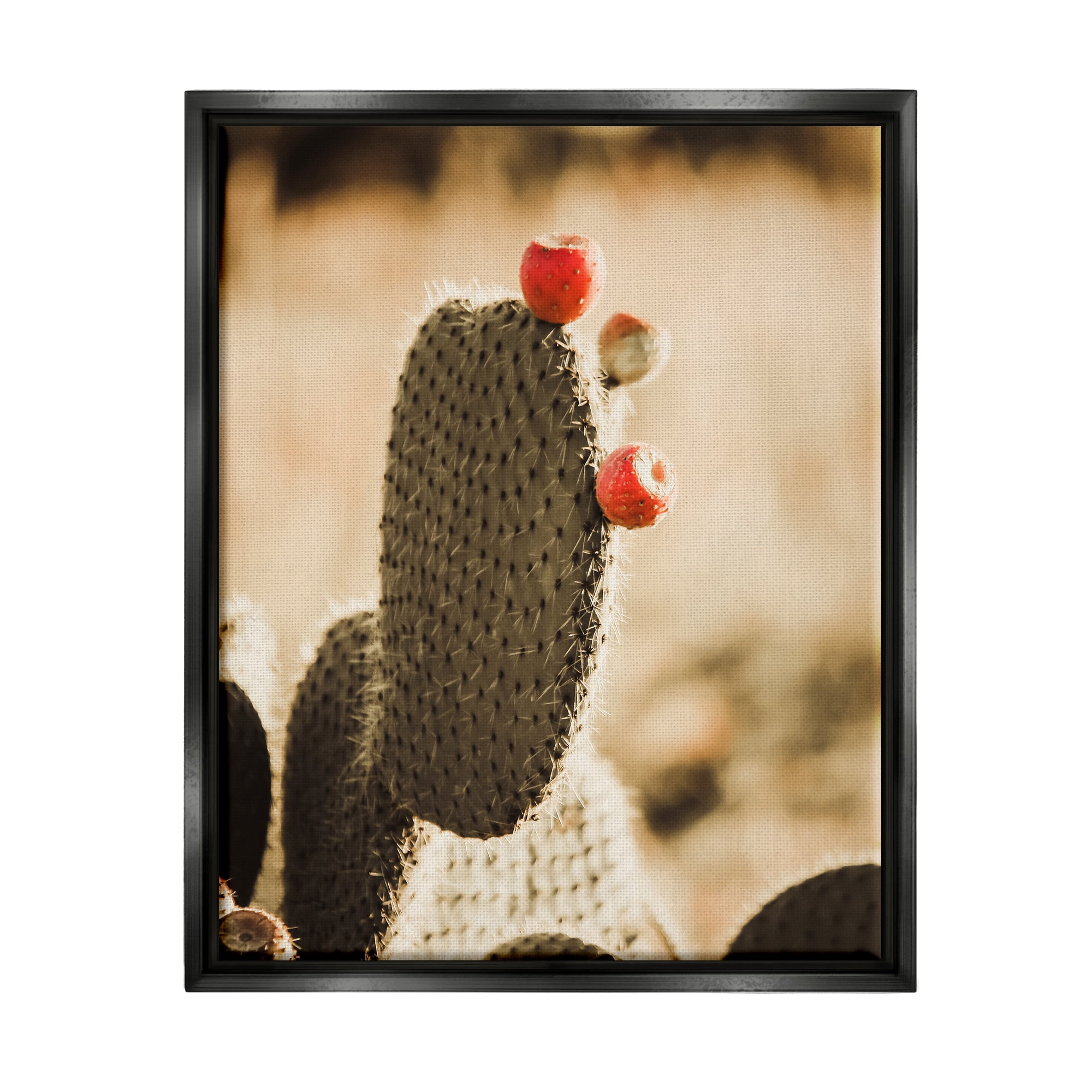 Stupell Prickly Pear Cactus Fruits Botanical & Floral Photography Black Floater Framed Art Print Wall Art