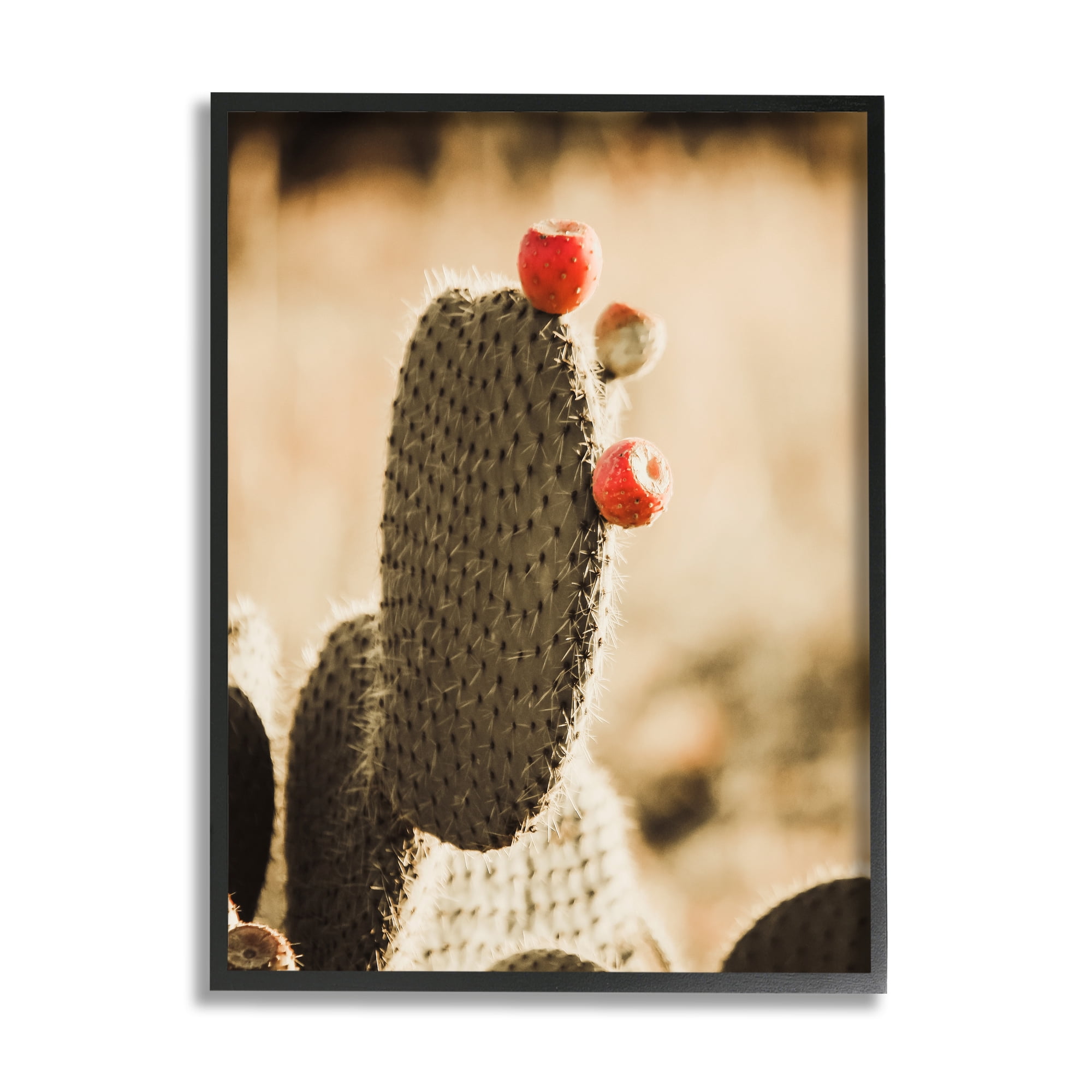 Stupell Prickly Pear Cactus Fruits Botanical & Floral Photography Black Framed Art Print Wall Art