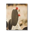 thumbnail image 1 of Stupell Prickly Pear Cactus Fruits Botanical & Floral Photography Gallery Wrapped Canvas Print Wall Art, 1 of 5